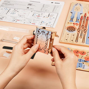 Mechanical Symphany Music Box 3D Wooden Puzzle (199 Pieces)