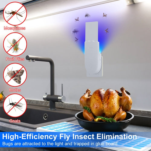 Plug-In Indoor UV Insect Trap with 5 Glue Boards & Night Light - Safe, Odorless Bug Zapper